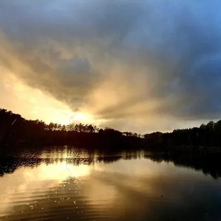 펜션 Lasko - Wildlife Phototherapy 4 Klimatyzowane Wille, Po 100m2, Z Dostepem Do Prywatnego Stawu, Ogrodu 2ha *