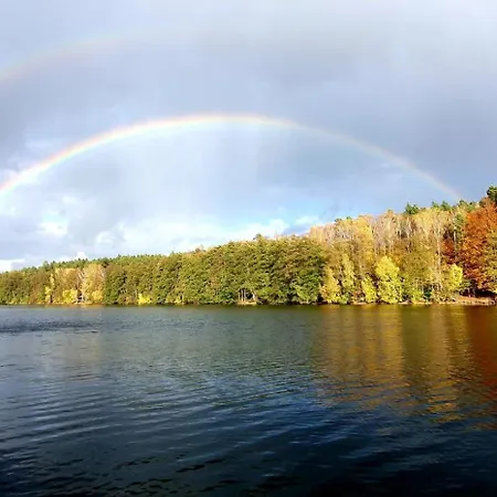 Lasko - Wildlife Phototherapy 4 Klimatyzowane Wille, Po 100m2, Z Dostepem Do Prywatnego Stawu, Ogrodu 2ha * Bierzwnik
