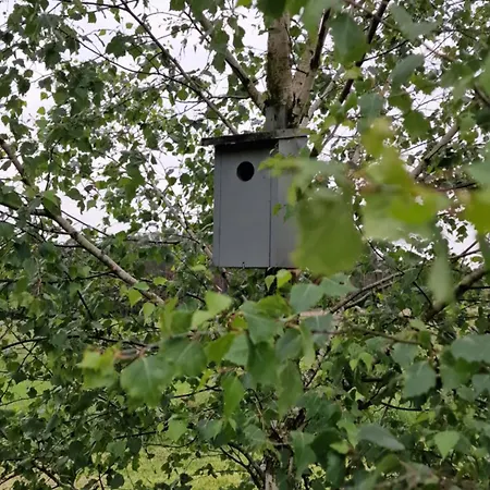 Lasko - Wildlife Phototherapy 4 Klimatyzowane Wille, Po 100m2, Z Dostepem Do Prywatnego Stawu, Ogrodu 2ha Casa de Férias *