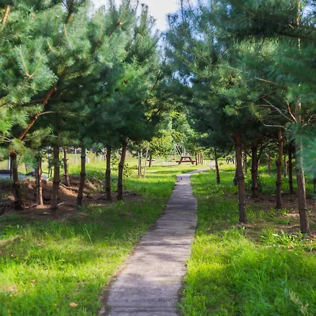 Lasko - Wildlife Phototherapy 4 Klimatyzowane Wille, Po 100m2, Z Dostepem Do Prywatnego Stawu, Ogrodu 2ha 펜션 *