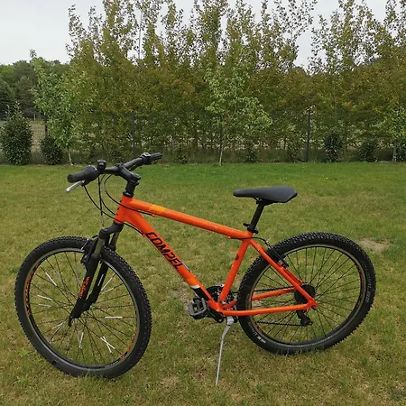 Casa de Férias Lasko - Wildlife Phototherapy 4 Klimatyzowane Wille, Po 100m2, Z Dostepem Do Prywatnego Stawu, Ogrodu 2ha *