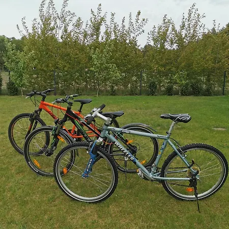 Lasko - Wildlife Phototherapy 4 Klimatyzowane Wille, Po 100m2, Z Dostepem Do Prywatnego Stawu, Ogrodu 2ha