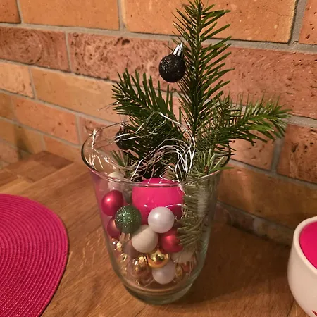 Casa de Férias Lasko - Wildlife Phototherapy 4 Klimatyzowane Wille, Po 100m2, Z Dostepem Do Prywatnego Stawu, Ogrodu 2ha *